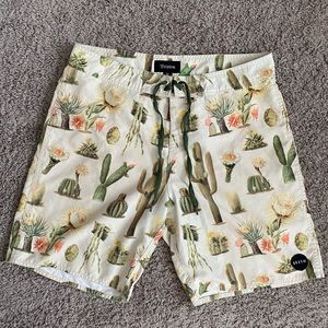 Brixton cactus swim trunks